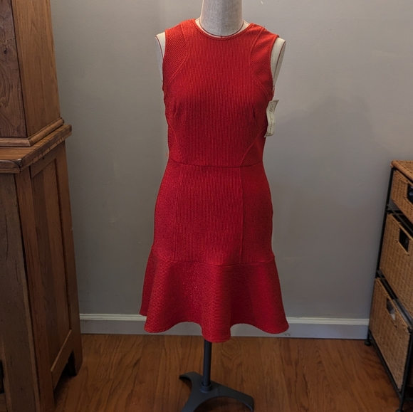 NWT ANTHROPOLOGIE  Shoshanna Annika Sz 6 A-Line Metallic Red Flame Dress Flounce - Picture 2 of 10